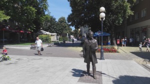 Kip Ferenca Kazinczyija (za mađarski jezik imao je značenje kao Vuk Karadžić u Srbiji, ili Ljudevit Gaj u Hrvatskoj) 